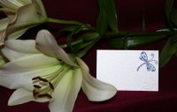 Photograph of the Lilly Place Card