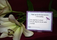 Photograph of the Lilly Rsvp