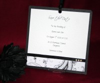 Photograph of the Noir Save the Date