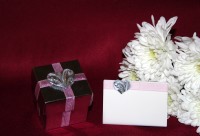 Photograph of the Swirl Pink Favour