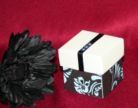 Photograph of the Chic Favour
